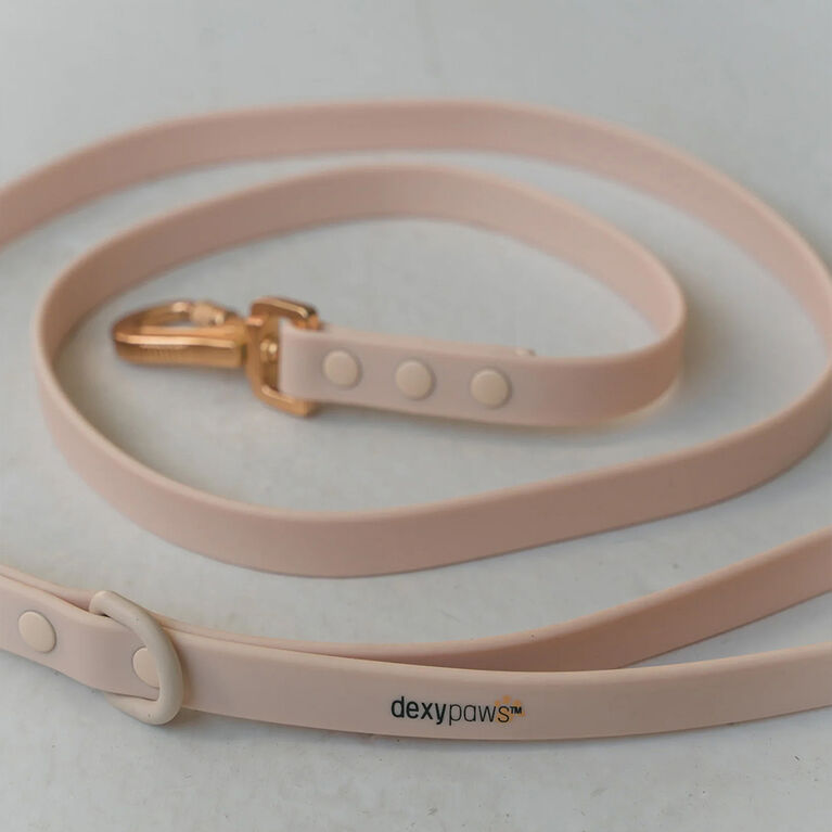 Dexypaws Waterproof Dog Leash in Nude