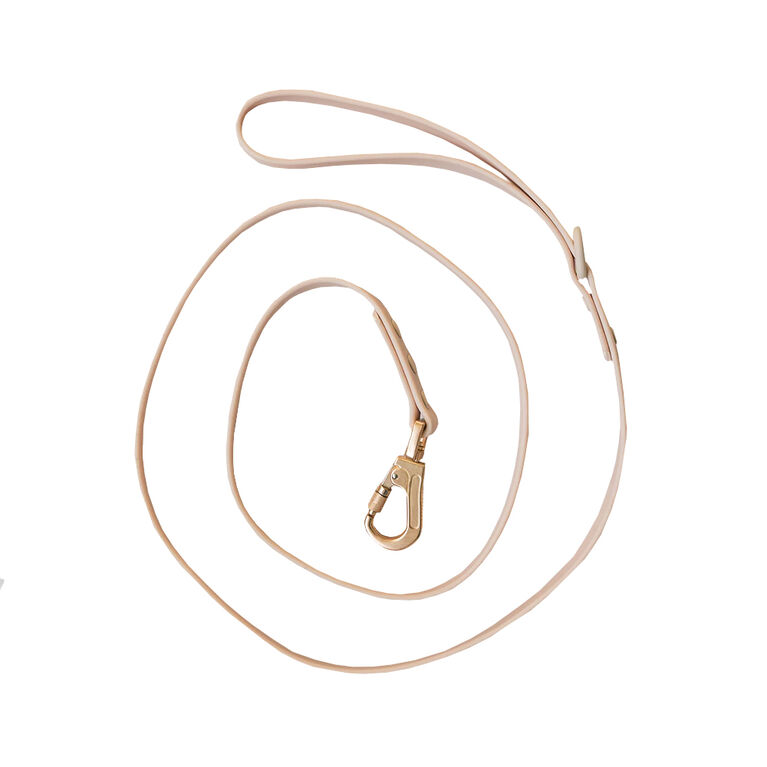 Dexypaws Waterproof Dog Leash in Nude