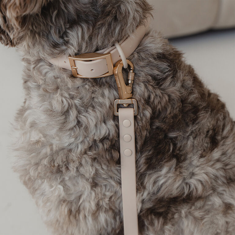 Dexypaws Waterproof Dog Collar in Nude - Size L