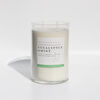 Eucalyptus Mint Soy Candle 25 Oz