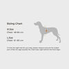 VOOCOO Saddle Pet Harness & Leash Set, Easy & Comfort Fit for Dogs, Lightweight, Reflective Strip, Durable for Daily Walks. - Quartz, Medium.