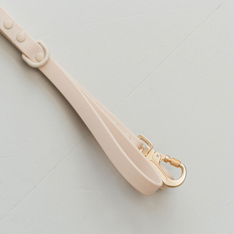 Dexypaws Waterproof Dog Leash in Nude