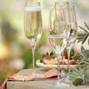 Luigi Bormioli Crescendo 8.25 oz Champagne / Cava / Prosecco / Sparkling Wine Glasses (Set Of 4)