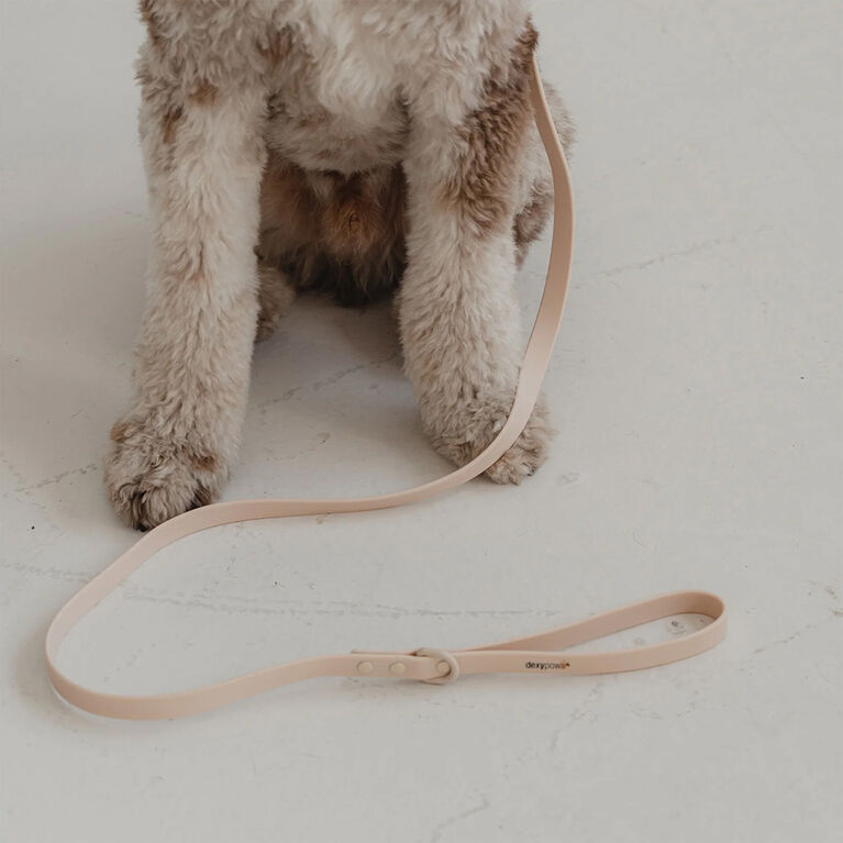 Dexypaws Waterproof Dog Leash in Nude